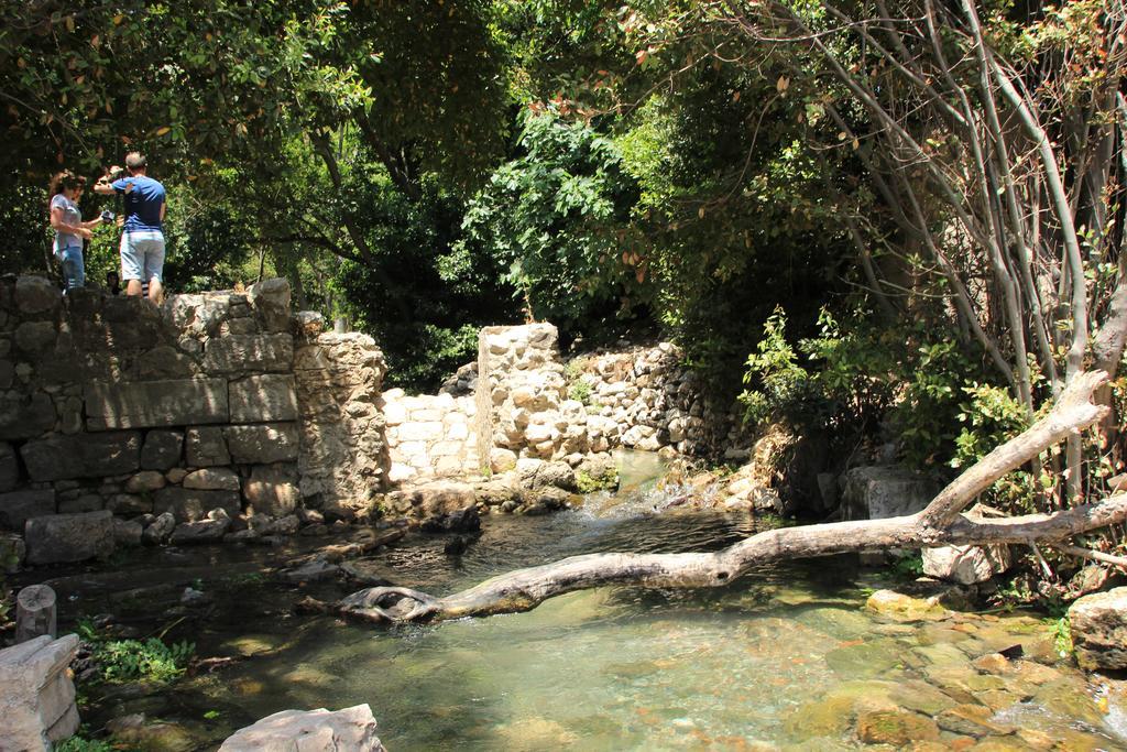 Olympos Mitos Otel Dış mekan fotoğraf