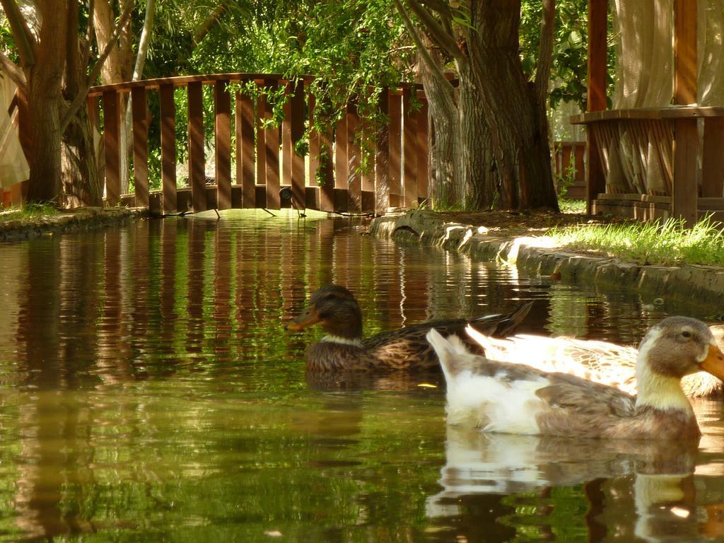 Olympos Mitos Otel Dış mekan fotoğraf