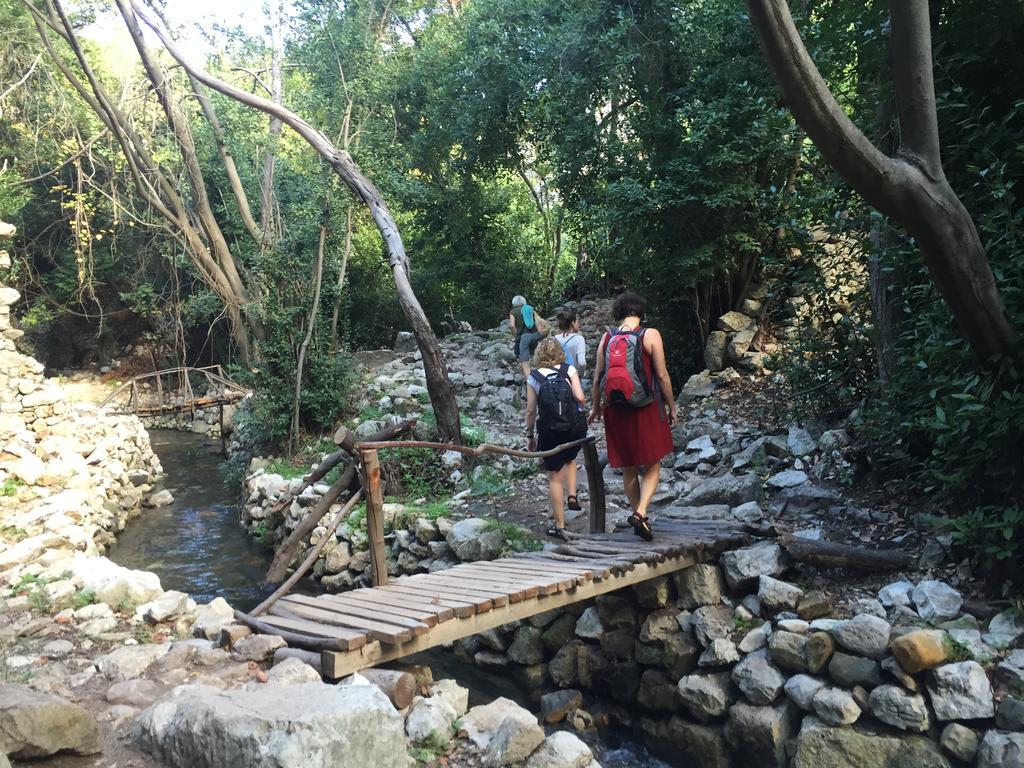 Olympos Mitos Otel Dış mekan fotoğraf