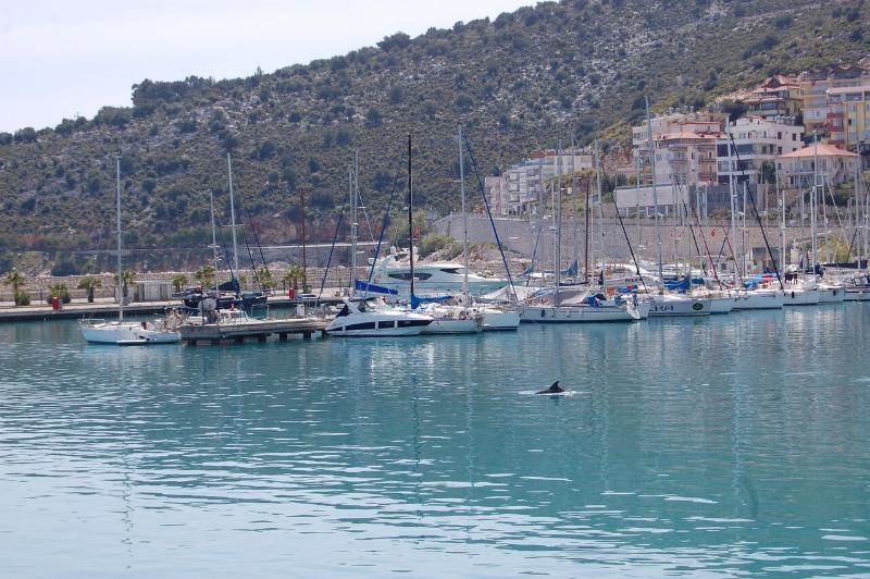 Olympos Mitos Otel Dış mekan fotoğraf