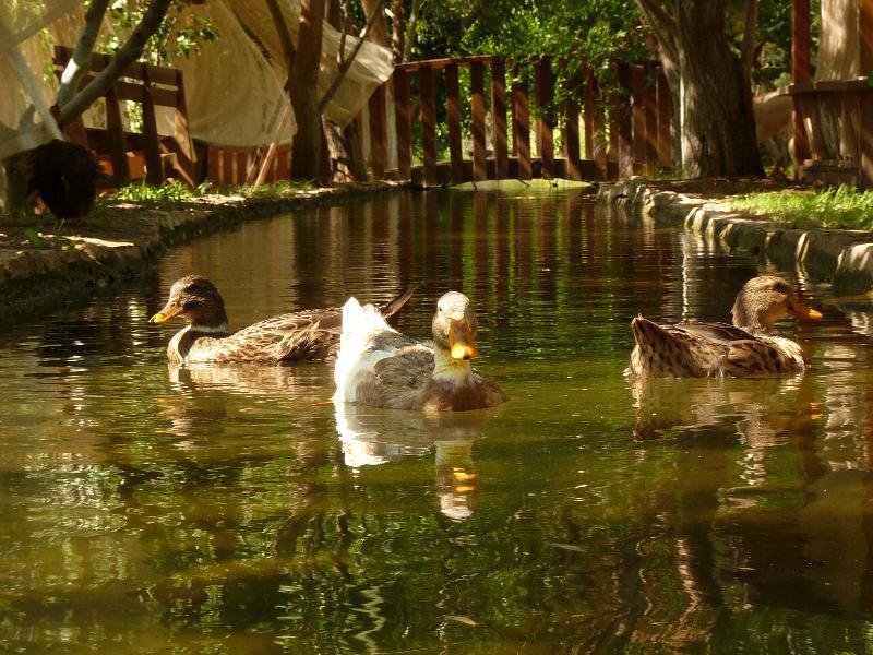 Olympos Mitos Otel Dış mekan fotoğraf