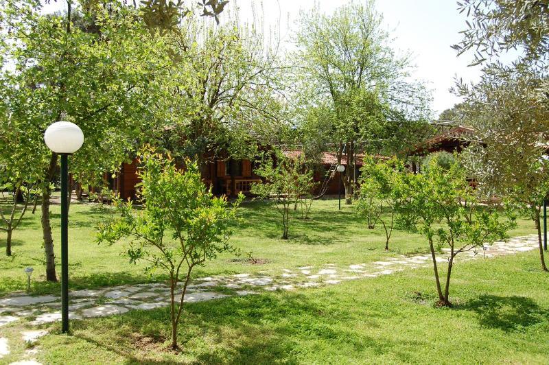 Olympos Mitos Otel Dış mekan fotoğraf