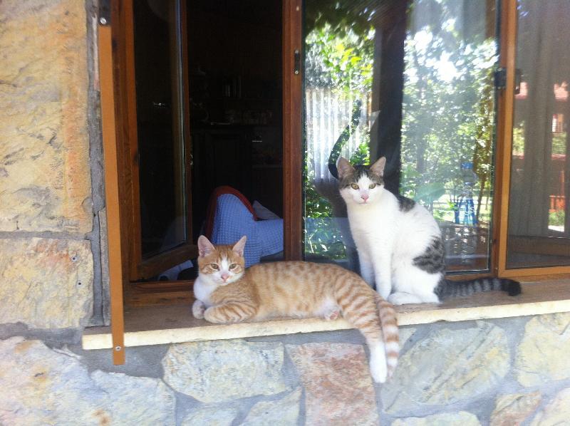 Olympos Mitos Otel Dış mekan fotoğraf